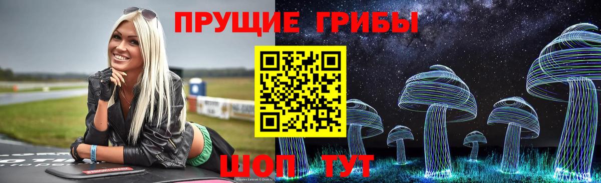 Псилоцибиновые грибы мицелий  купить   Нефтекумск  Вход с VPN 
