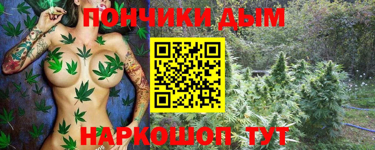 Бошки марихуана конопля Нефтекумск